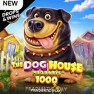 Игровой автомат The Dog House 1000 — Pragmatic Play